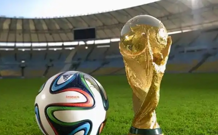 获得2026年世界杯参赛资格国家：日本，新西兰